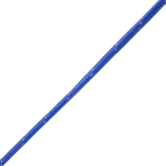 Reflective 550lb Paracord – 7 Strand Type III Nylon Parachute Cord for Hiking, Camping, and Fishing – 30+ Colors and 6 Length Options