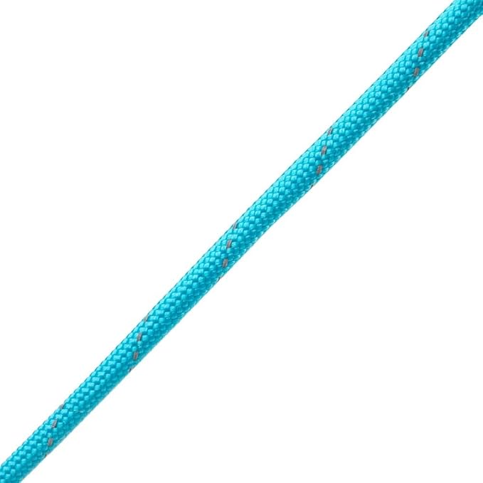 Reflective 550lb Paracord – 7 Strand Type III Nylon Parachute Cord for Hiking, Camping, and Fishing – 30+ Colors and 6 Length Options
