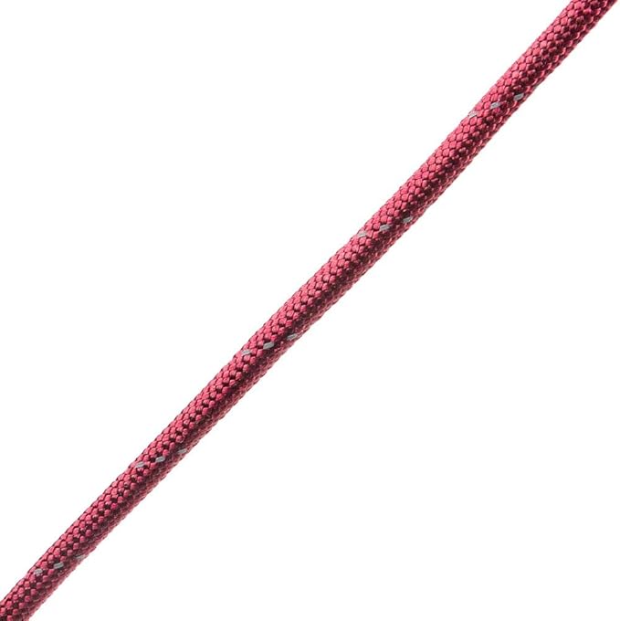 Reflective 550lb Paracord – 7 Strand Type III Nylon Parachute Cord for Hiking, Camping, and Fishing – 30+ Colors and 6 Length Options