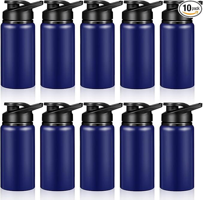 10 Pieces 13.5oz Reusable Aluminum Water Bottles Bulk Multicolor Outdoor Sports Water Bottles for Travel, Gym, Hiking, Cycling, Camping, Fishing, Snap Lid (Blue)