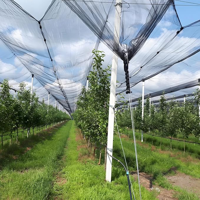 Unves Garden Mosquito Netting, 33 x 10 Ft Mosquito Net for Patio, Insect Pest Barrier Bird Netting Mesh for Garden, Soft Plant Covers Protect Vegetables Fruits from Birds Bugs, Hexagonal Mesh, Black