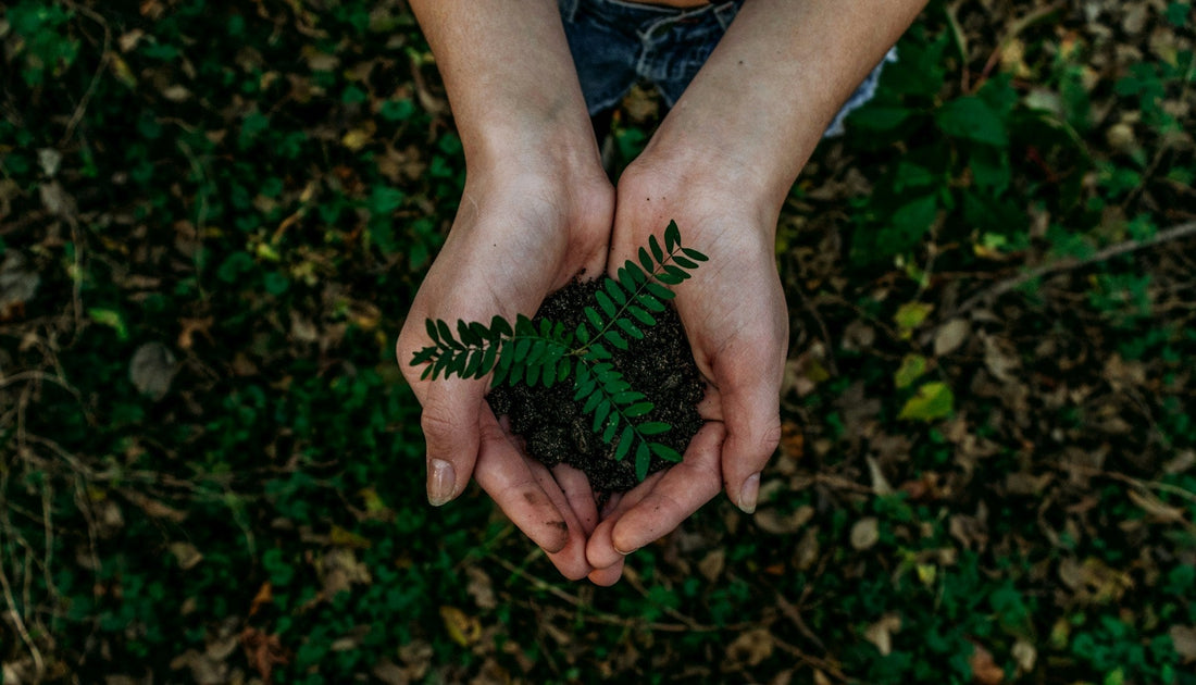 Eco-Friendly Camping: Sustainable Products for a Greener Adventure