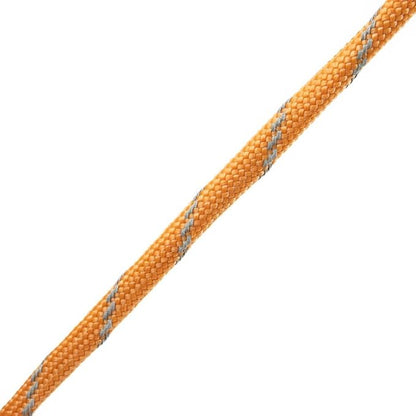 Reflective 550lb Paracord – 7 Strand Type III Nylon Parachute Cord for Hiking, Camping, and Fishing – 30+ Colors and 6 Length Options