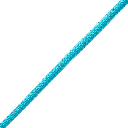 Reflective 550lb Paracord – 7 Strand Type III Nylon Parachute Cord for Hiking, Camping, and Fishing – 30+ Colors and 6 Length Options