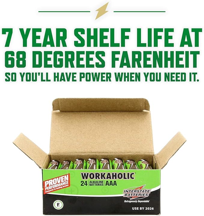 Interstate Batteries AAA Alkaline Battery (24 Pack) All-Purpose 1.5V High Performance Batteries - Workaholic (DRY0075)