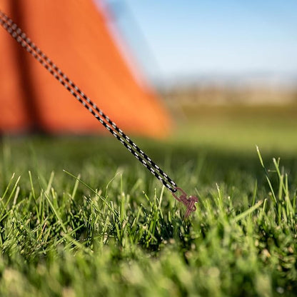 Reginary 6 Pcs Ground Anchors Screw in Tent Stakes Heavy Duty Trampoline Anchors High Wind for Camping Canopy Carport Sheds Beach Sand Stakes Metal Swing Set (Brown)