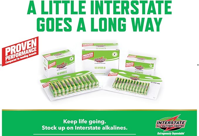 Interstate Batteries AAA Alkaline Battery (100 Pack) All-Purpose 1.5V High Performance Batteries - Workaholic (DRY7003)