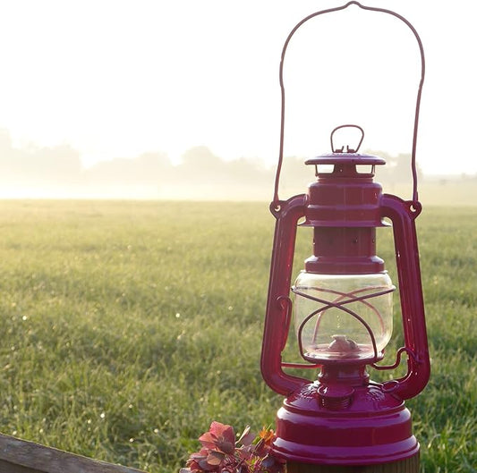Outdoor Kerosene Fuel Lantern, German Made Weather Resistant Baby Special 276 Galvanized Hurricane Lamp for Camping or Patio, 10 Inches, Telemagenta