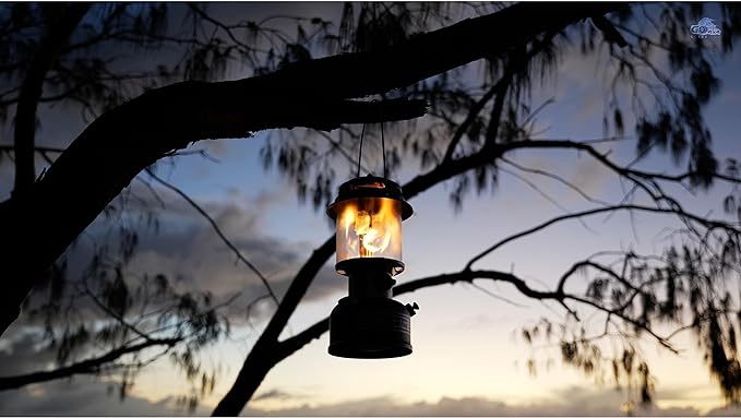 Coleman Powerhouse Dual Fuel Lantern - Up to 800 Lumens, 2-Mantle Design with Adjustable Brightness