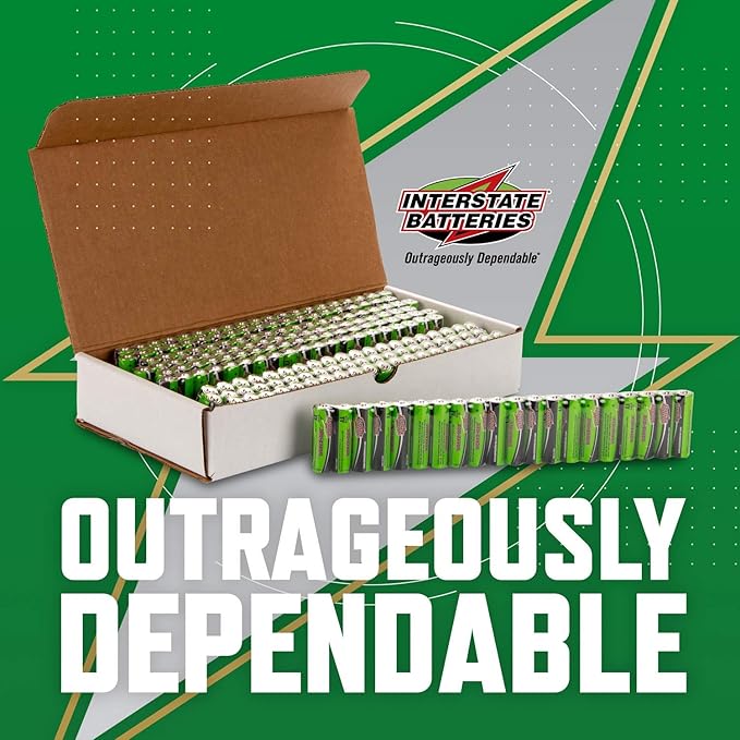 Interstate Batteries AA Alkaline Battery (200 Pack) All-Purpose 1.5V High Performance Battery - Workaholic (DRY7001)