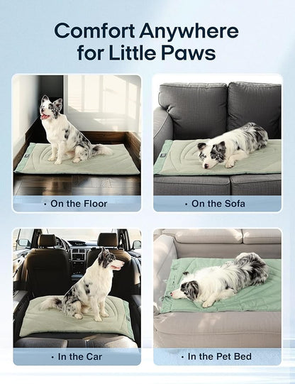 ZonLi Dog Cooling Mat, 20" x 16"Small, Waterproof Cooling Pad for Cats & Rabbits, Portable & Durable Pet Mat for Crate, Trunk, Camping, Outdoors, Machine Washable, Ice Green