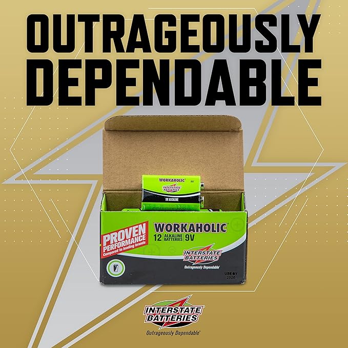 Interstate Batteries 9 Volt Alkaline Battery (12 Pack) All-Purpose 9V High Performance Batteries - Workaholic (DRY0196)