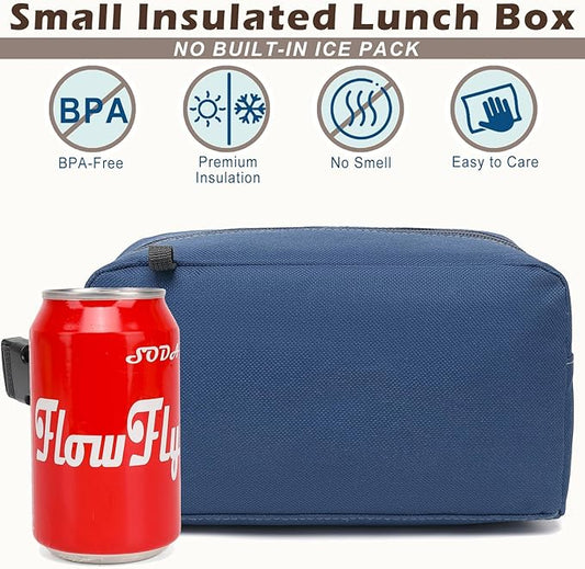 FlowFly Small Insulated Lunch box Portable Soft Bag Mini Cooler Thermal Meal Tote Kit with Buckle for Work, CyanWithBuckle