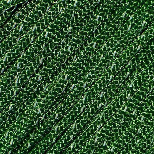 West Coast Paracord – 95 Tensile Strength - 1 Strand Reflective Paracord (1000 Feet, Kelly Green)