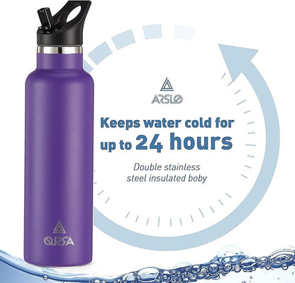 Stainless Steel Double Wall Water Bottles, Vacuum Insulated Bottle With Straw Lid, Insulated Water Bottle Keeps Water Cold for 24 Hours, Hot for 12 Hours, Hiking, Sports