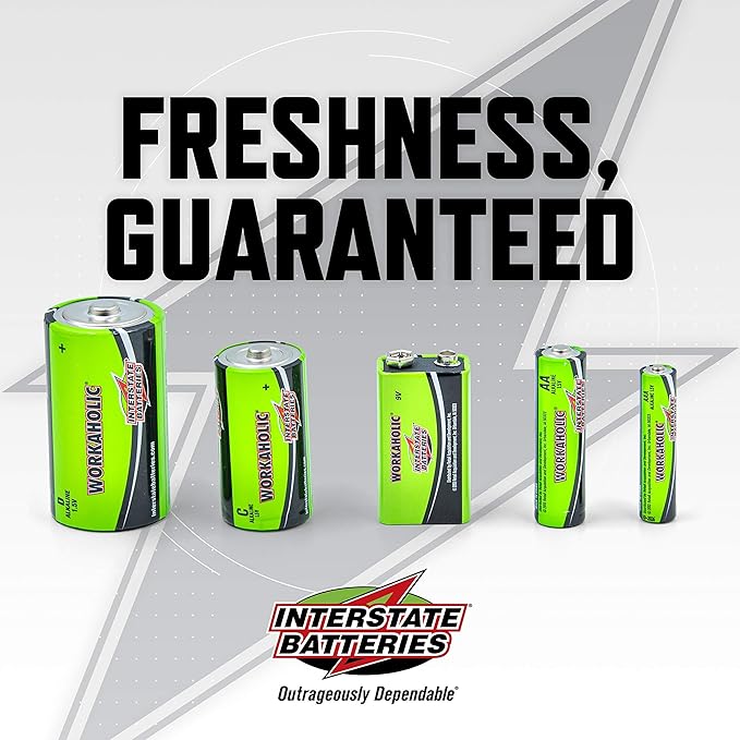 Interstate Batteries AA Alkaline Battery (200 Pack) All-Purpose 1.5V High Performance Battery - Workaholic (DRY7001)