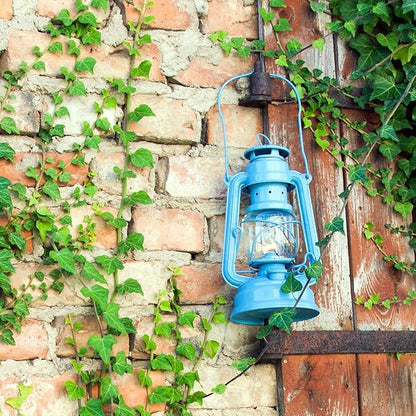 Outdoor Kerosene Fuel Lantern, German Made Weather Resistant Baby Special 276 Galvanized Hurricane Lamp for Camping or Patio, 10 Inches, Pastel Blue