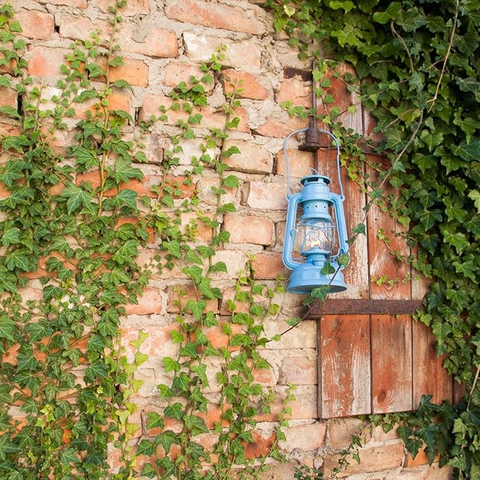 Outdoor Kerosene Fuel Lantern, German Made Weather Resistant Baby Special 276 Galvanized Hurricane Lamp for Camping or Patio, 10 Inches, Pastel Blue