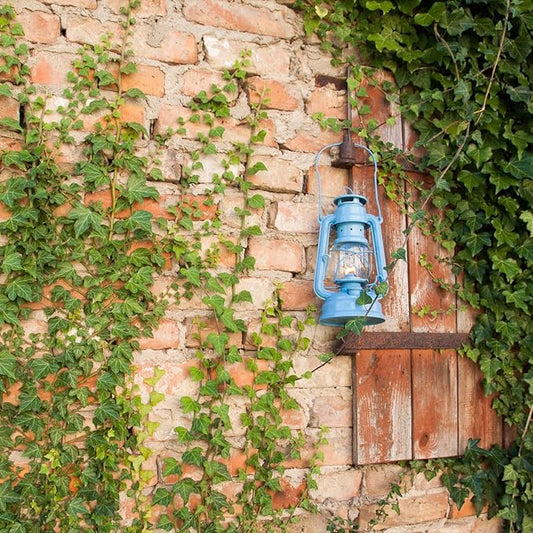 Outdoor Kerosene Fuel Lantern, German Made Weather Resistant Baby Special 276 Galvanized Hurricane Lamp for Camping or Patio, 10 Inches, Pastel Blue